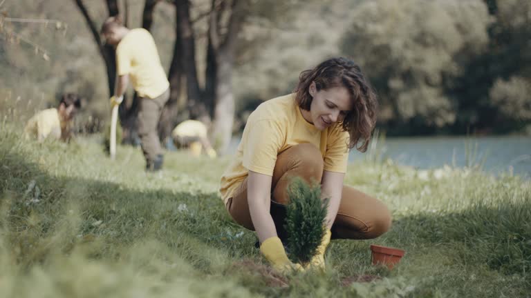 Best Tree and Shrub Care  in Junction City, KY