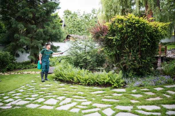 Best Weed Control  in Junction City, KY
