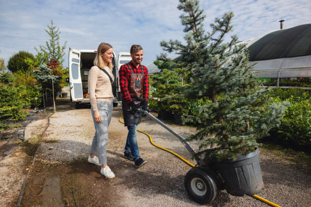 Best Tree Health Inspection  in Junction City, KY